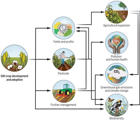 michaela c baldos|Environmental impacts of genetically modified crops .